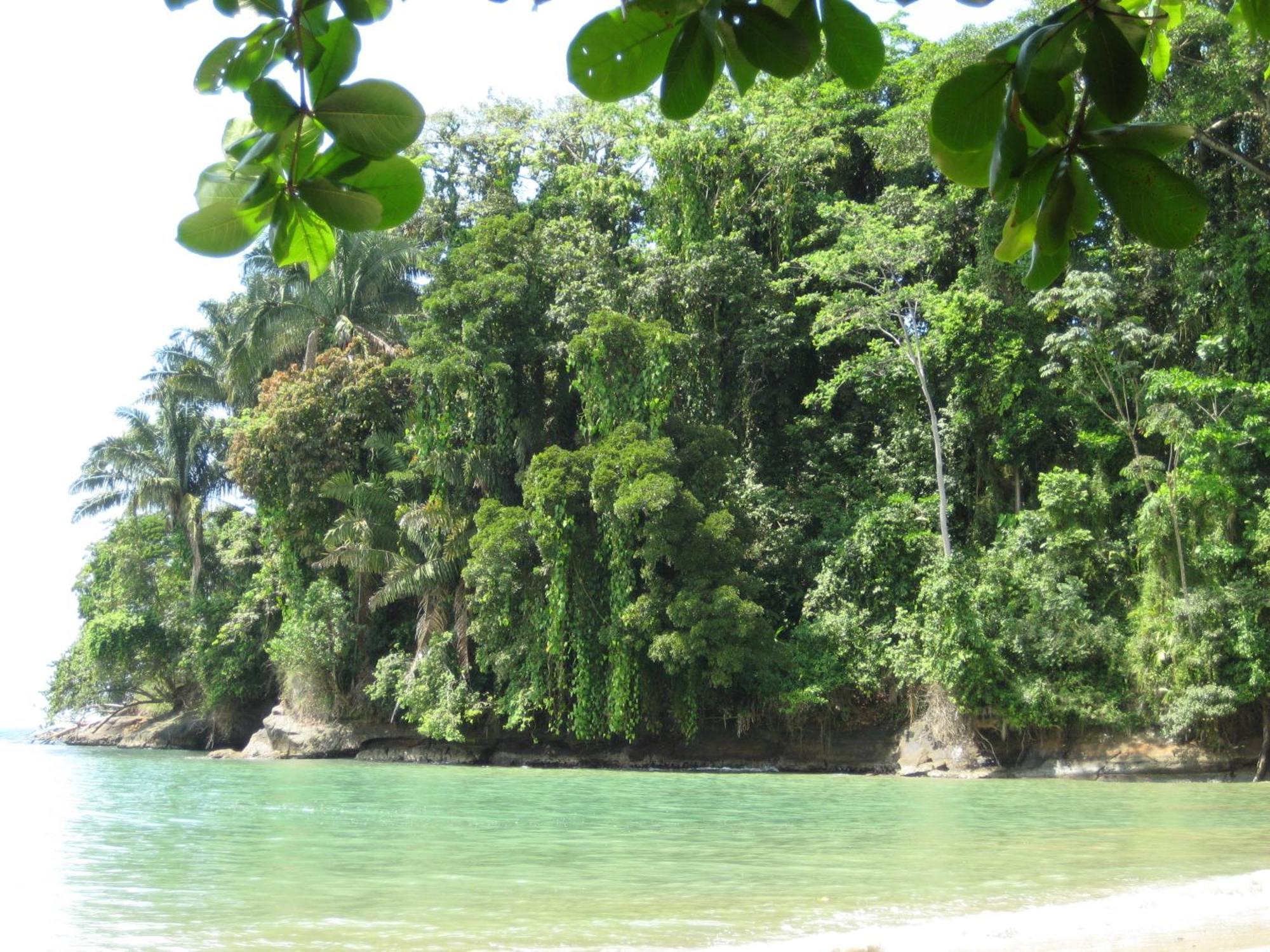 El Tucan Jungle Lodge Puerto Viejo de Talamanca Eksteriør billede