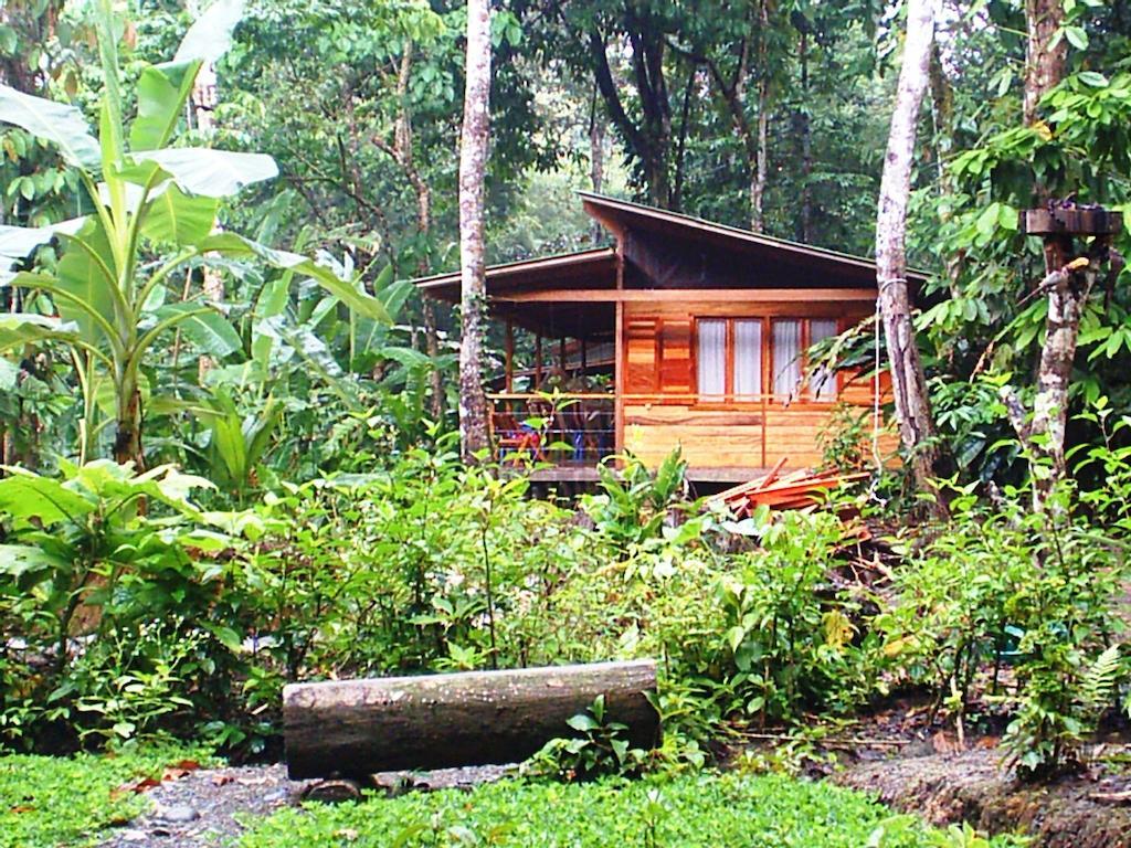 El Tucan Jungle Lodge Puerto Viejo de Talamanca Eksteriør billede