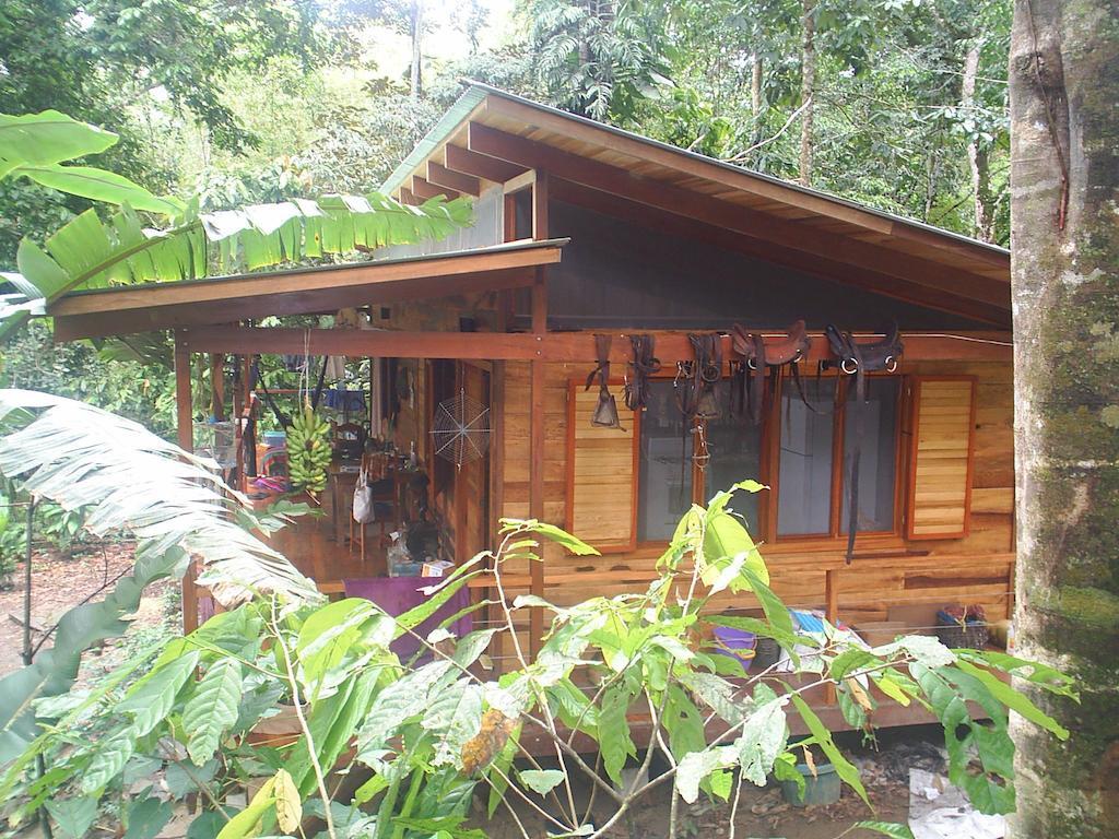 El Tucan Jungle Lodge Puerto Viejo de Talamanca Værelse billede