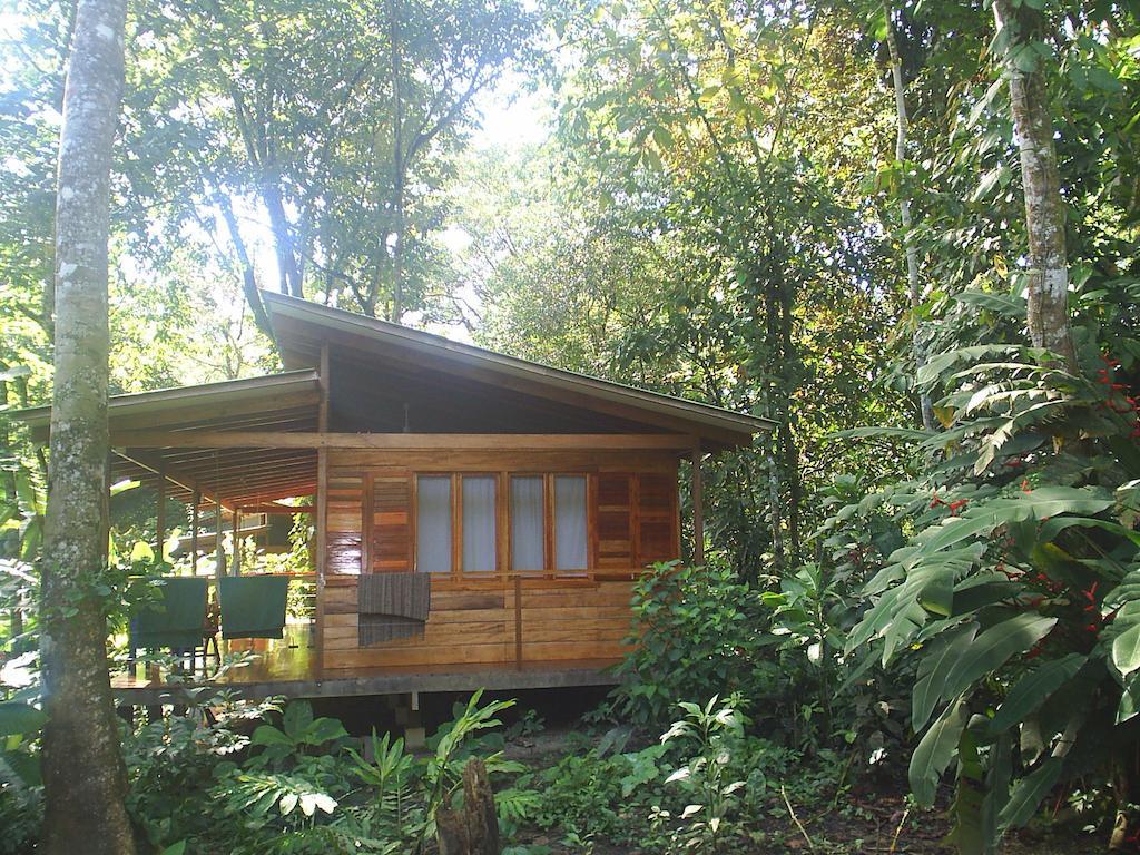 El Tucan Jungle Lodge Puerto Viejo de Talamanca Værelse billede