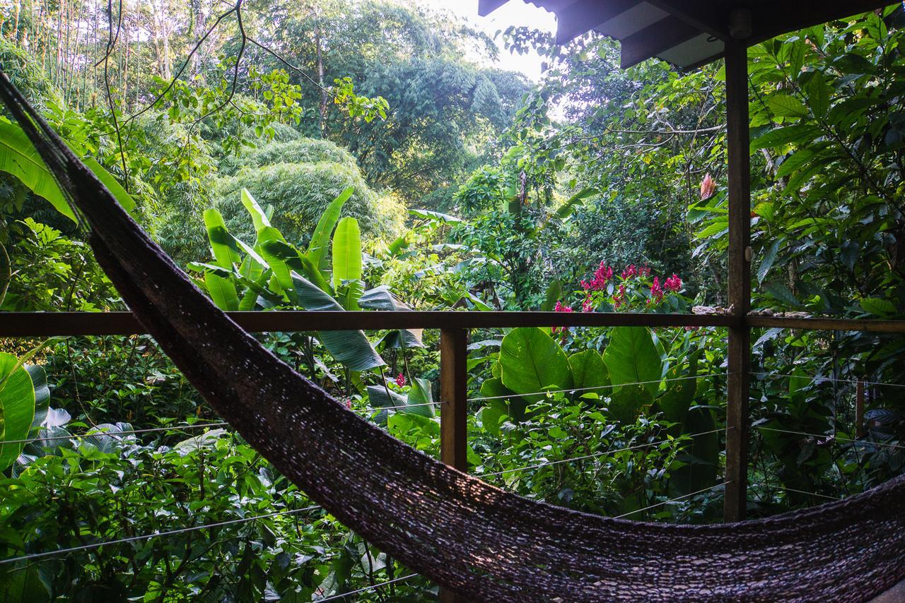 El Tucan Jungle Lodge Puerto Viejo de Talamanca Eksteriør billede