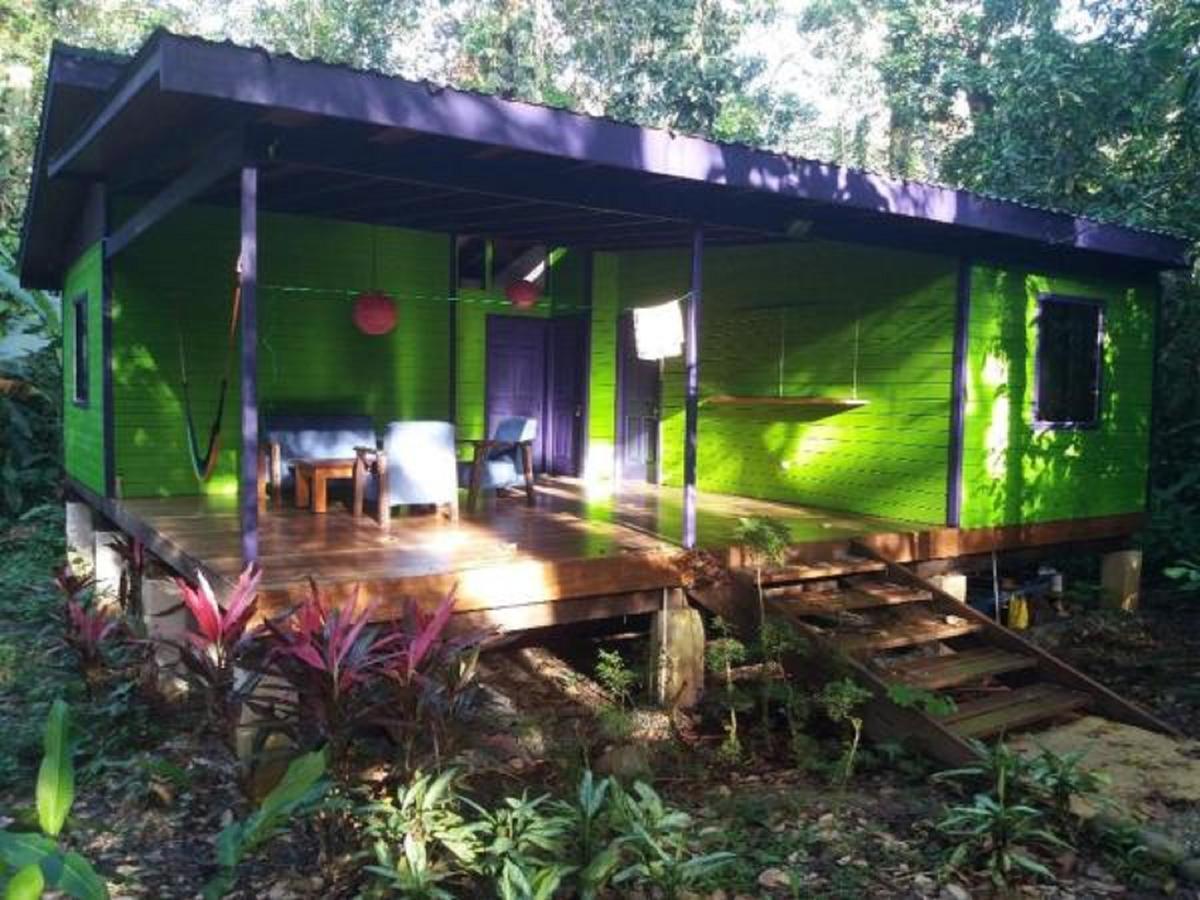 El Tucan Jungle Lodge Puerto Viejo de Talamanca Eksteriør billede