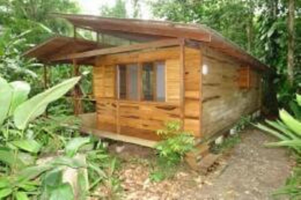 El Tucan Jungle Lodge Puerto Viejo de Talamanca Eksteriør billede