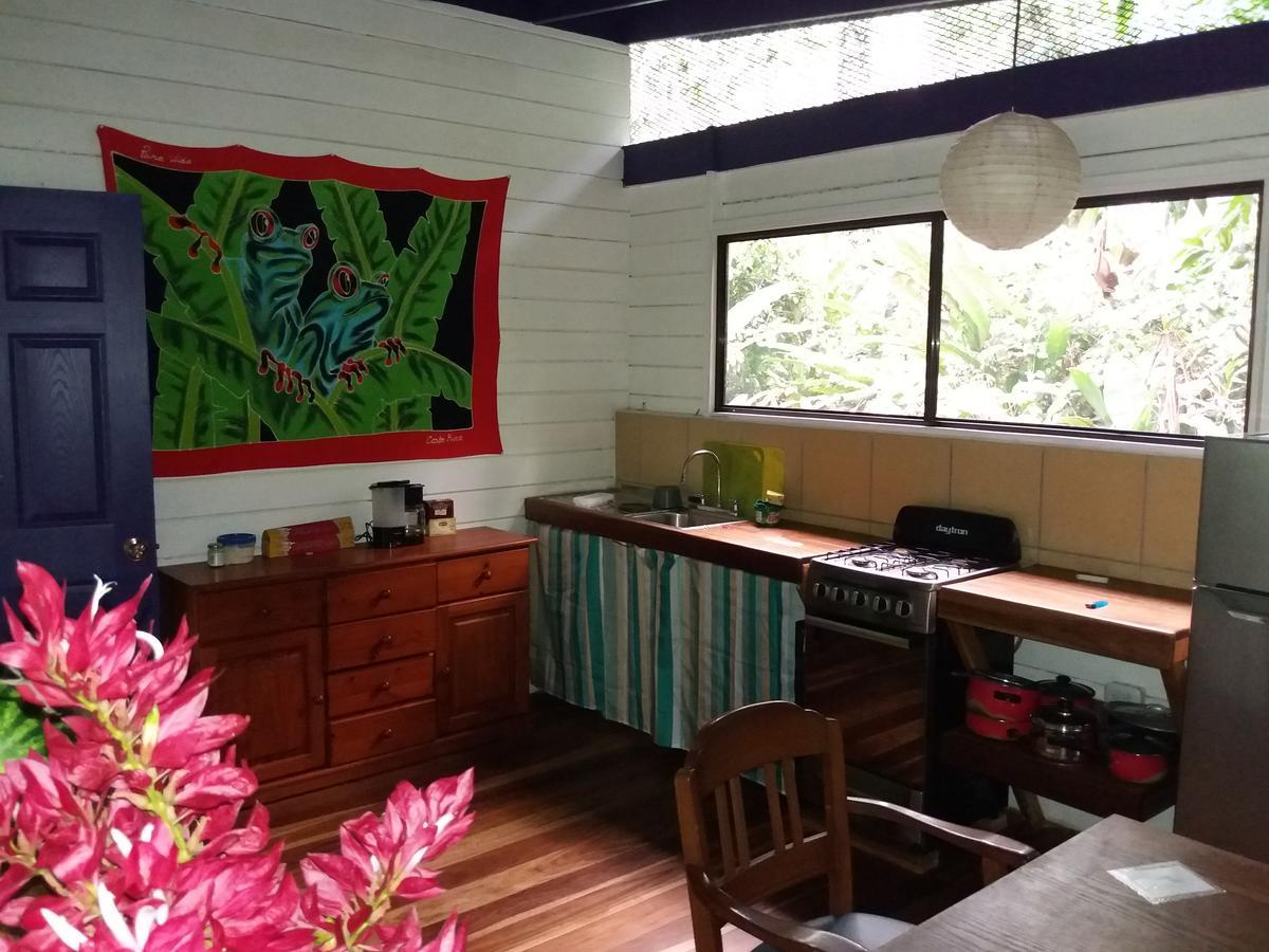 El Tucan Jungle Lodge Puerto Viejo de Talamanca Eksteriør billede