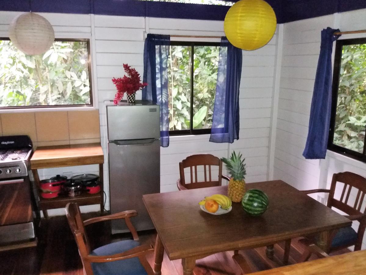 El Tucan Jungle Lodge Puerto Viejo de Talamanca Eksteriør billede